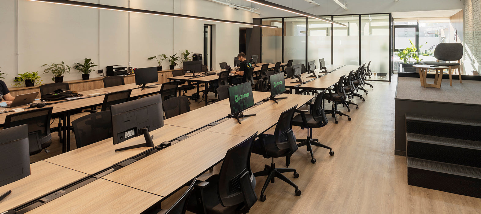 Headquarter Lemon