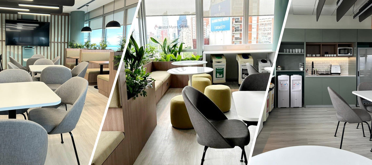 Bristol Myers Squibb