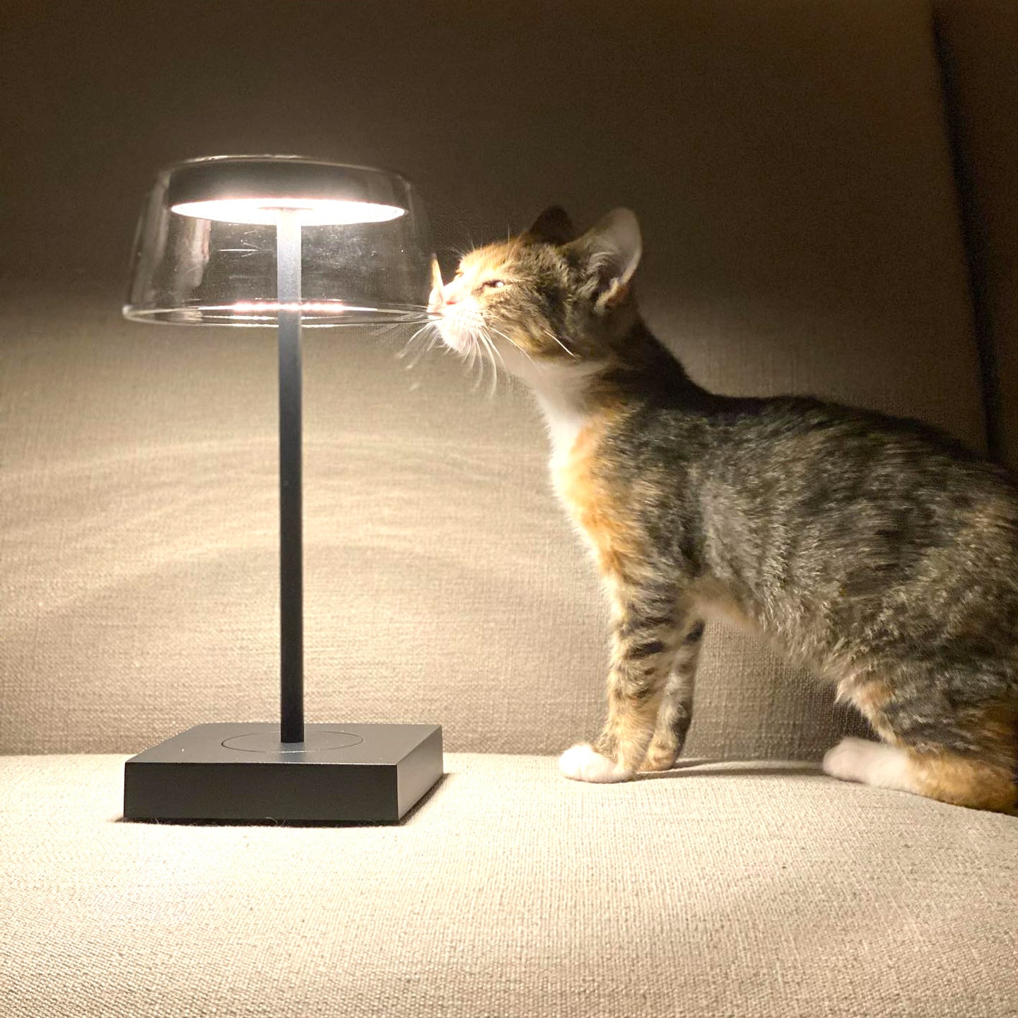 Lámpara de Mesa Niue, recargable