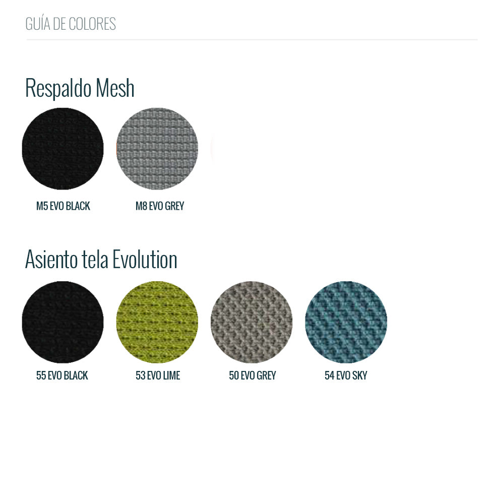 Silla Foldi Training