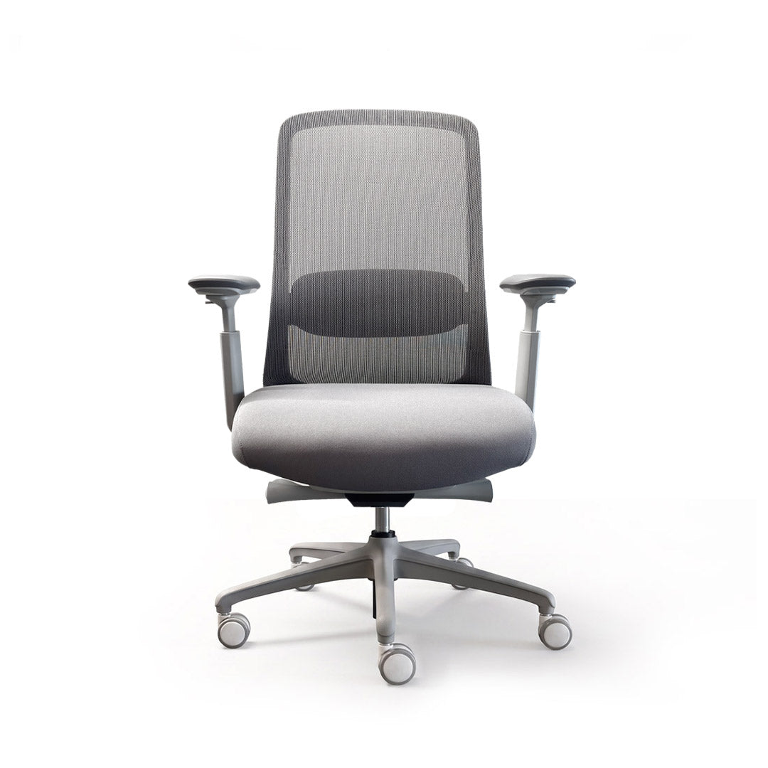 Silla Nova