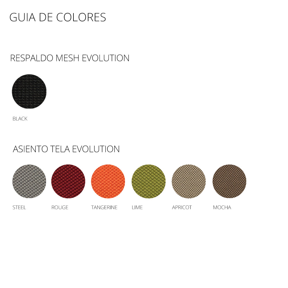 Silla TURIN Basic, base y mesh negro, tela color